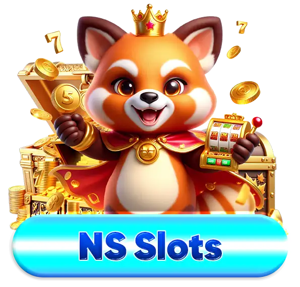 NS slots