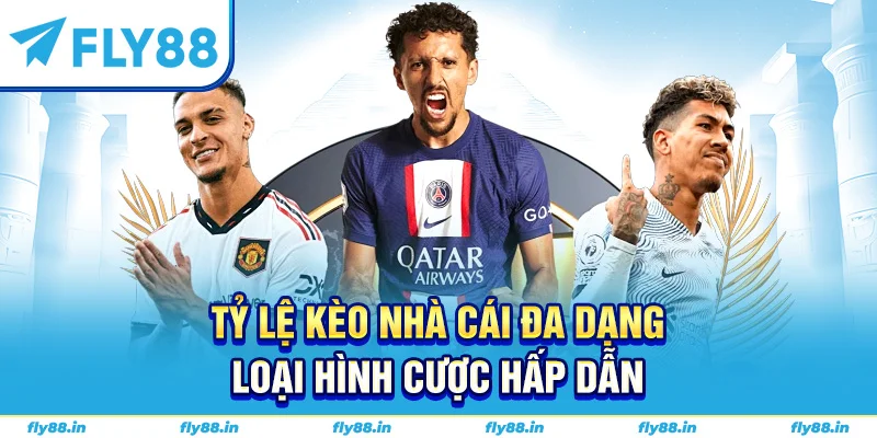 Tỷ lệ kèo nhà cái đa dạng loại hình cược hấp dẫn